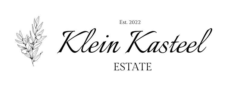 https://kleinkasteel.co.za/